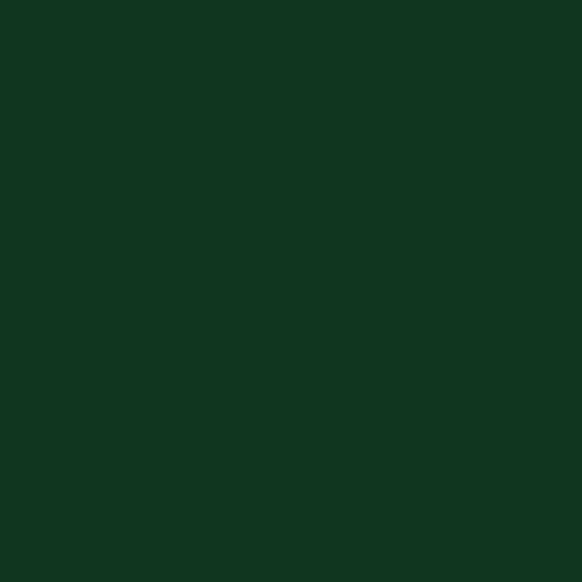 Brilltix Smalto semplice Antirugine CIS.