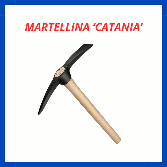 Martellina 'Catania' ED.